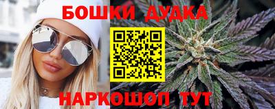эйфоретик Аргун