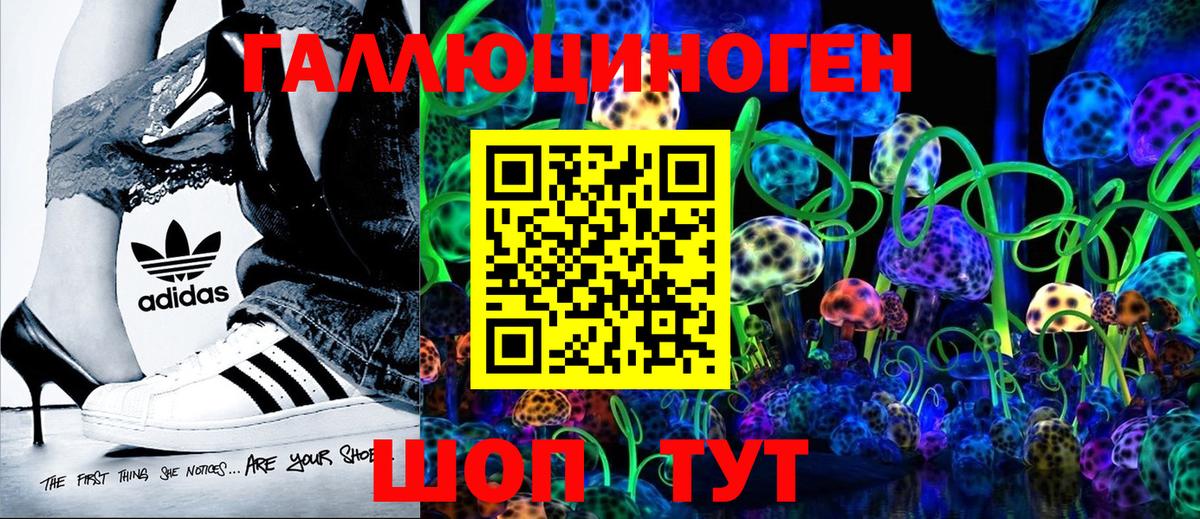 Галлюциногенные грибы GOLDEN TEACHER Всеволожск
