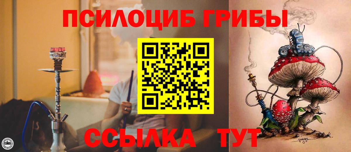 Галлюциногенные грибы Psilocybine cubensis  Вход с VPN  Псилоцибиновые грибы мухоморы  Всеволожск 